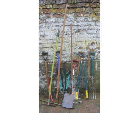 Selection of garden tools