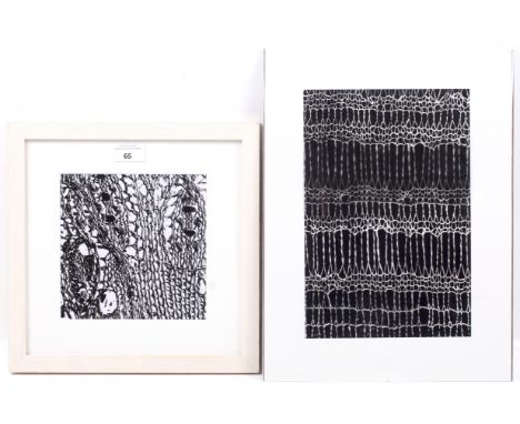 Costas Andrew Mikellides (1938-2019) msia, fcsd, photo negative printed on astrofoil and another photograph. The first titled