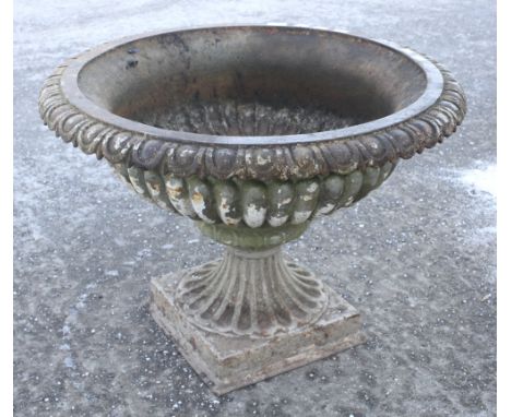 A 19th century cast iron circular fluted garden planter. On a square base (34cm x 34cm). Diameter 73cm x H54cm