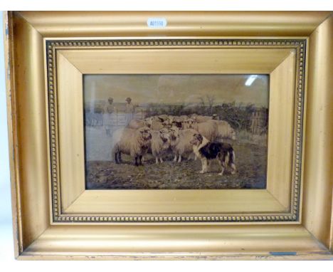 Edwardian shepherd with sheep &amp; collie, a monochrome print, 6½" x 10", in broad gilt frame.