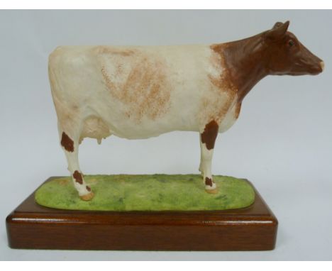 Ceramic figure of a Dairy Shorthorn Cow, 11" long, on wooden plinth.