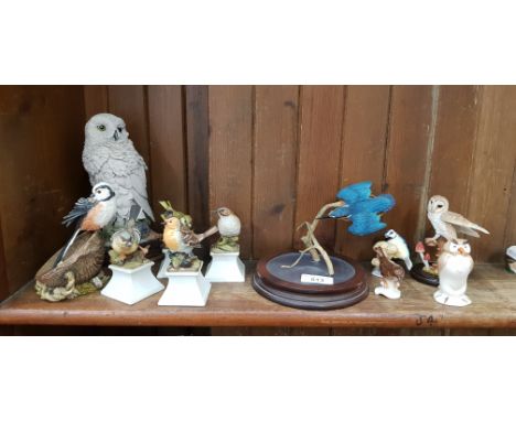 Bird figurines - a Border Fine Arts Kingfisher, Country Artists Snowy Owl CA399, Long Tailed Tit and Barn Owl together with o