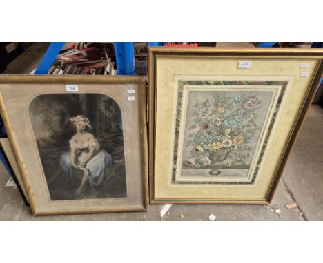 Two 19th century coloured engravings; one by H Garnier, a portrait of a woman after Andre, the other by H Fletcher, botanical