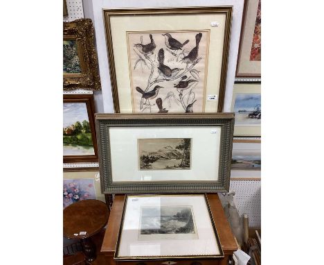 Print of Loch Lomond by Preston Cribb, The Giants Causeway (from above) by W.B. Bartlett and another print of birds 34 x. 27c