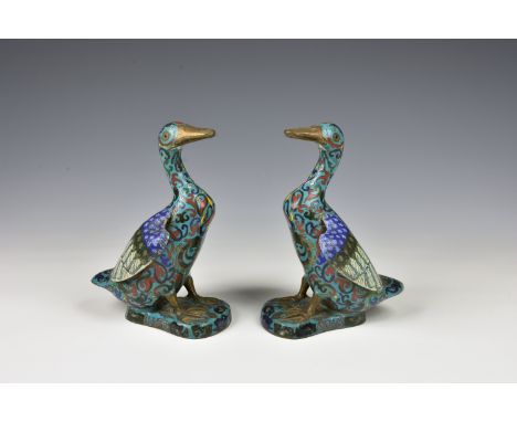 A pair of Chinese cloisonne figures of ducks probably early 20th century, in polychrome enamels on a turquoise ground, standi