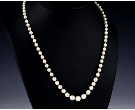 A single strand cultured pearl necklace with silver clasp, 18½in. (47cm.) long.  
