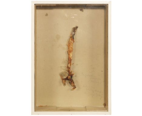 Joseph Beuys  - - 1921 Krefeld - 1986 Düsseldorf 1a gebratene Fischgräte (Hering). 1970. Fischgräte mit Zwirn befestigt in mi