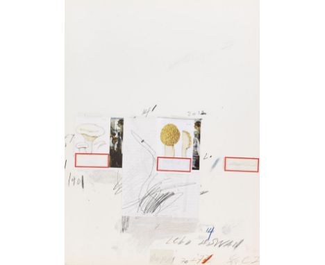 Cy Twombly  - - 1928 Lexington - 2011 Rom Natural History Part I, Mushrooms. 1974. Folge von 10 Farblithografien mit Lichtdru