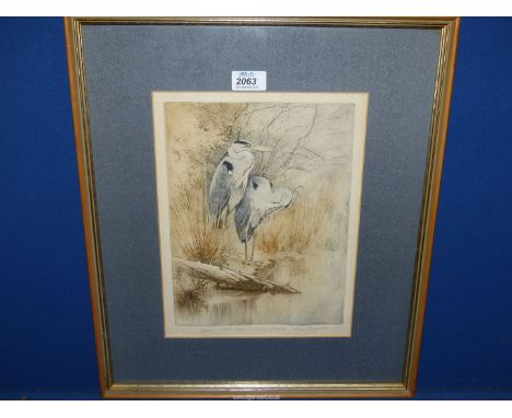 A signed Anne Singleton Limited Edition Etching (no: 5/15) depicting Herons at West Lake Brownsea Island. 49cm x41cm