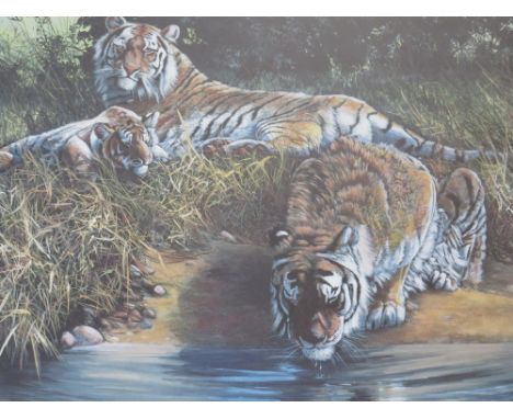 DOROTHEA BUXTON HYDE (b.1942).Study of tigers resting by a river, signed in pencil lower right, limited edition coloured prin