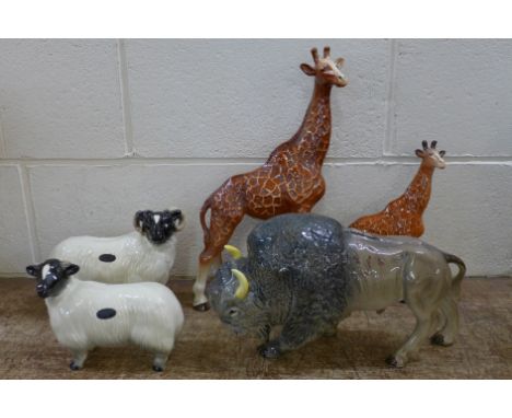 Two Melba Ware giraffes, a bison and two model sheep, one giraffe and one sheep a/f