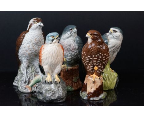 A collection of five Beswick Beneagles ceramic decanters in the form of birds to include a Osprey, Buzzard, Kestral, Merlin a