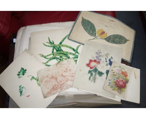 A COLLECTION OF BOTANICAL AND NATURAL HISTORY PRINTS, DRAWINGS & WATERCOLOURS including a naive watercolour 'The Nutmeg, Copi