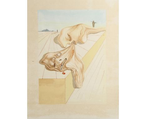 Salvador Dali (1904 - 1989), Divine Comedy, lithograph, image 25cm x 17cm, framedGood condition 