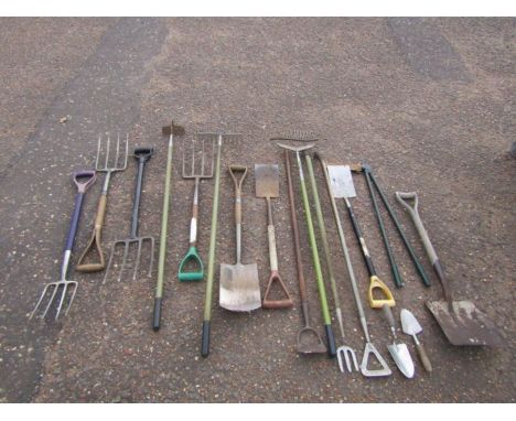 Garden tools including forks and shovels etc 