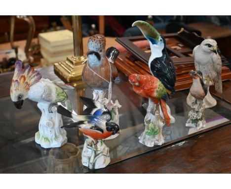 A Spode china Jay and a Bullfinch, to/w a German porcelain parakeet, a kingfisher, Tuscan China toucan, Naples macaw and a po