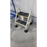 2-Step Mobile Ladder