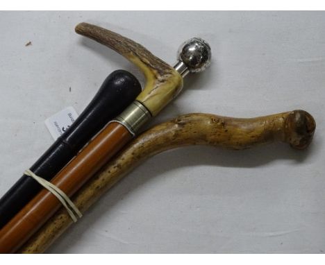 A horn handled walking stick and 3 others.