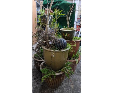 A selection of ceramic and terracotta garden planters, Location: 