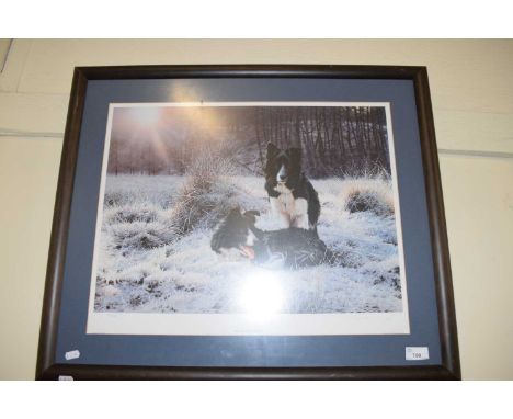STEVEN TOWNSEND, 'EARLY LIGHT' COLOURED PRINT, F/G