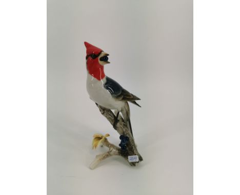 VOGELFIGUR: "Kardinal", Porzellan, Manufaktur L. Hutschenreuther in Selb, Marke ca. 1887 - ca. 1920, Entwurf G. R. Granget. N
