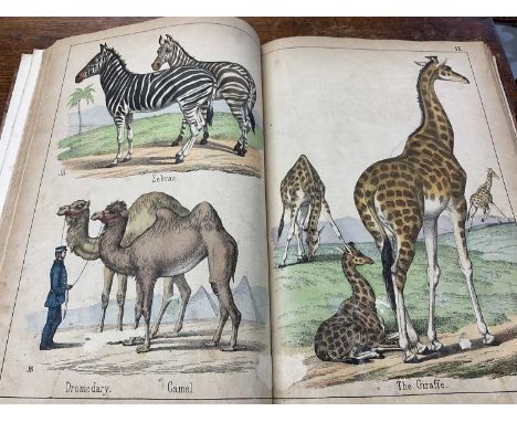 Victorian book of hand coloured engravings - The Instructive Picture book, together with a series of facsimile early printed 