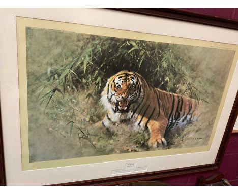 Large David Shepherd print, Tiger Fire, signed and numbered 677 of an edition of 850, image 57 x 100cm, in glazed frame