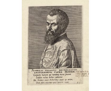 Portrait of Andres Vesalius, Philips Galle  Portrait of Andreas Vesalius (1514-1564). He was a southern Dutch physician and a