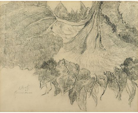 Bretz, Julius (1870-1953), "Sonnenblume", Bleistift/Papier, 29,5 x 36,5 (Passepartoutausschnitt), unten links signiert und "4