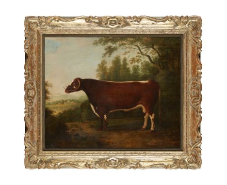 JOHN BOULTBEE (BRITISH, 1753-1812)  PORTRAIT OF A BULL   Signed, oil on canvas  61cm x 76cm (24in x 30in)