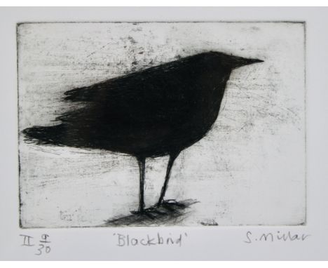 Sandra Millar   Blackbird  Etching and Drypoint Signed and numbered 9/30 Framed W30cm x H27cm Provenance : Private Collection