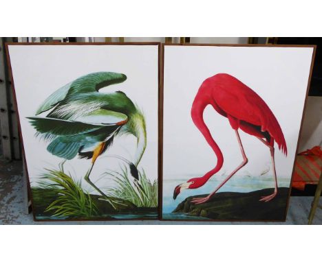 AFTER JOHN JAMES AUDUBON, a set of two prints from The Birds of America, framed, 113cm x 83cm. (2)
