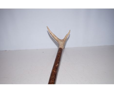 Horn Shepherds Stick