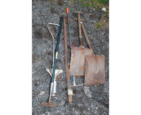 Garden tools including shovels, rake and hoe