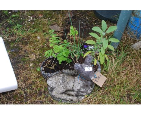 Deer concrete planter containing herbs