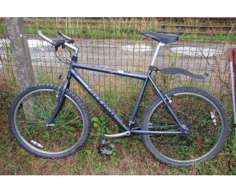 Raleigh max online 24