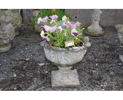 Single garden planter, planted with petunias