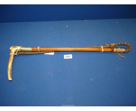 An Antler handled lunging Whip with silver plated band, 40" long.