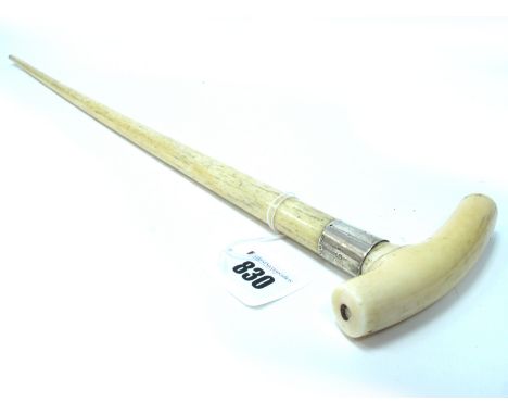 An Early XX Century Whale Bone Walking Stick, with plain turned handle and silver mount, inscribed 1917, hallmarked for Edinb