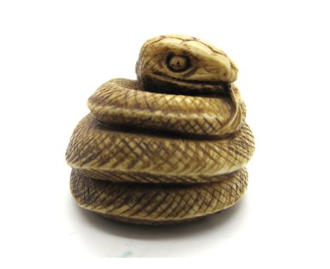 A Late XIX Century Japanese Ivory Netsuke, carved as a coiled snake, signed, 3cm high.