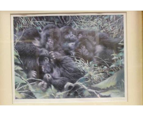 GORILLAS
print, signed in pencil by 'Joel Kirk'
