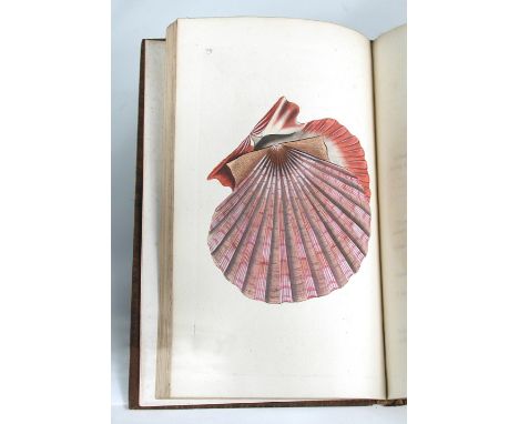 DONOVAN (Edward) The Natural History of British Shells, in 5 volumes, 1800-04, 8vo, with 180 hand coloured plates as required
