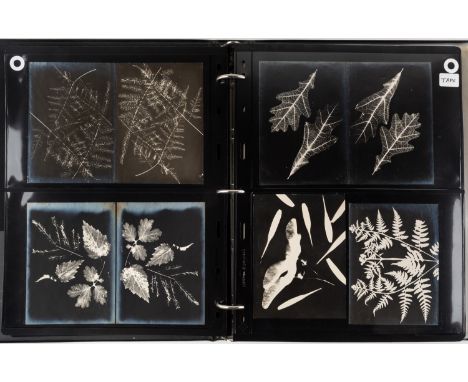 AN EXCEEDINGLY RARE COLLECTION OF 215 AVANT-GARDE PHOTOGRAPHS AND PHOTOGRAMS BY MIKHAIL MIKHAILOVICH TARKHANOV (RUSSIAN 1888-