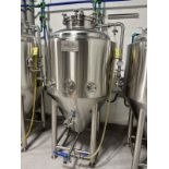 Carolina 3 BBL Jacketed Fermenter (FV B) | Rig Fee $300