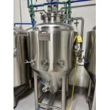Carolina 3 BBL Jacketed Fermenter (FV A) | Rig Fee $300