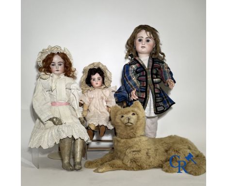 Toys: antique dolls. 3 dolls with porcelain head and a dog in fur. Of which 1 doll with leather body and head-bust. (beautifu