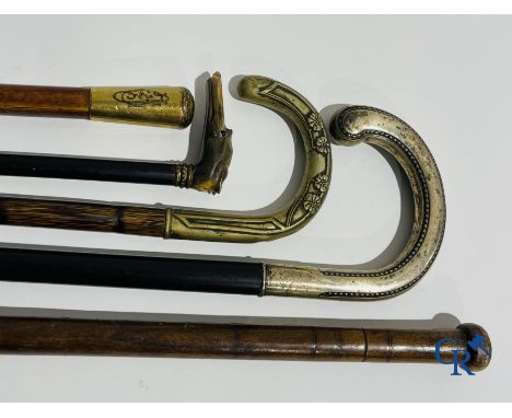 5 walking sticks including 1 with silver (800°/00) handle. 