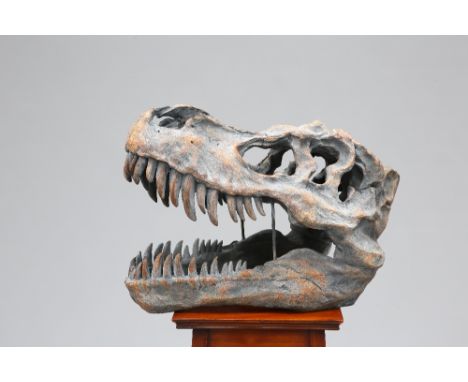 A LARGE MODEL OF A TYRANNOSAURUS DINOSAUR SKULL, with wall-mounting bracket. Approx. 45cm back to front
