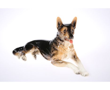 A LARGE GOEBEL MODEL OF A GERMAN SHEPHERD, modelled recumbent. 43.5cm