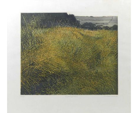 Phil Greenwood (b.1943) - Spring Grass, etching and aquatint on wove paper, signed, dated '75 and numbered '68/75' in pencil 